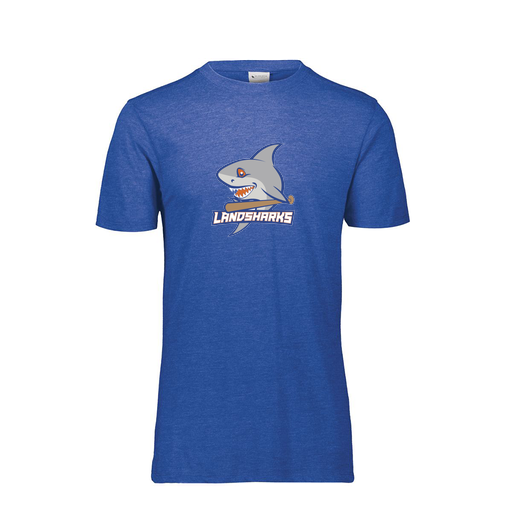 [FTSCUBRY-YS-LOGO3] Decker Youth Tri-Blend T-Shirt - Short Sleeve (Youth S, Royal, Logo 3)